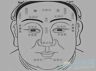 犀牛骨面相|面相犀牛骨突出（满满干货）